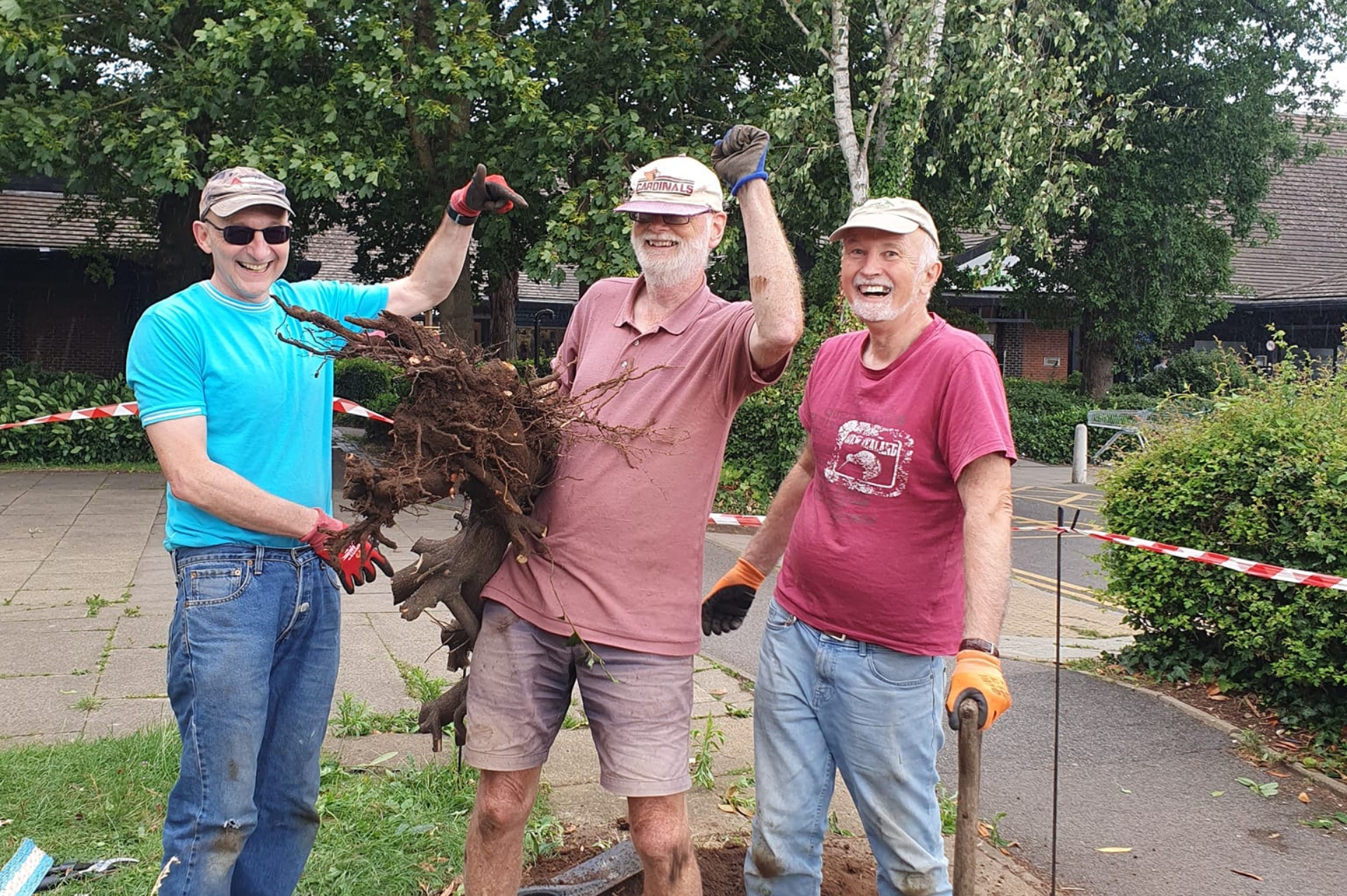 Three men with gardening gloves and tools, holding and celebrating the removal of hedge roots
