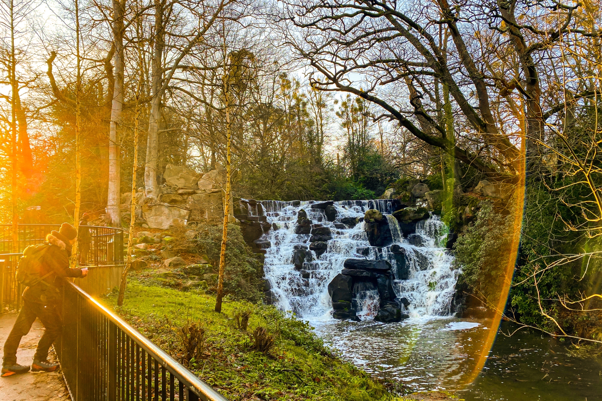Man leaning on a metal fence looking at a waterfall surrounded by trees. The sun flares on the lens of the camera