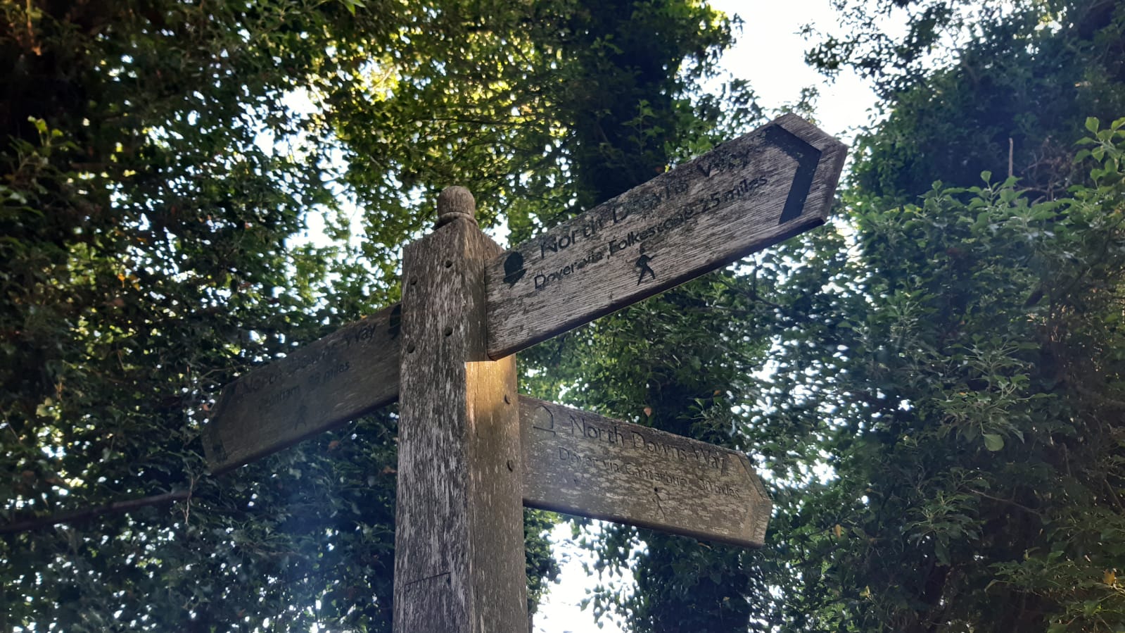 Worn wooden sign pointing the directions of the North Downs Way