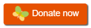 Orange donate now button